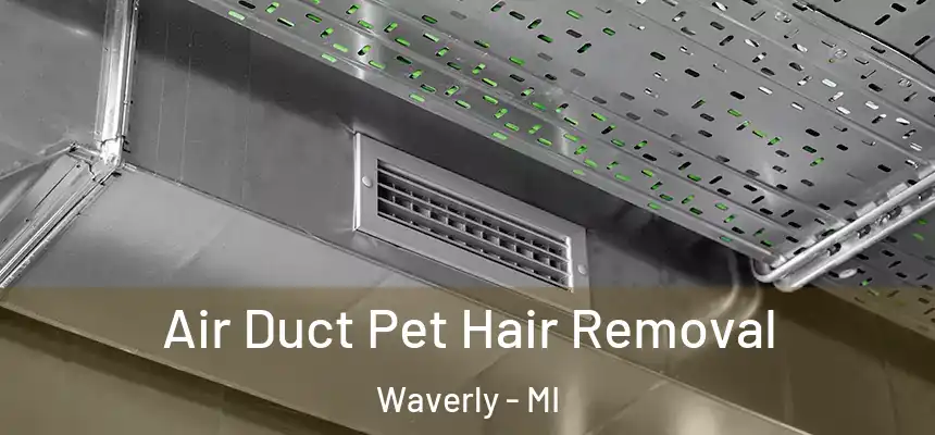 Air Duct Pet Hair Removal Waverly - MI