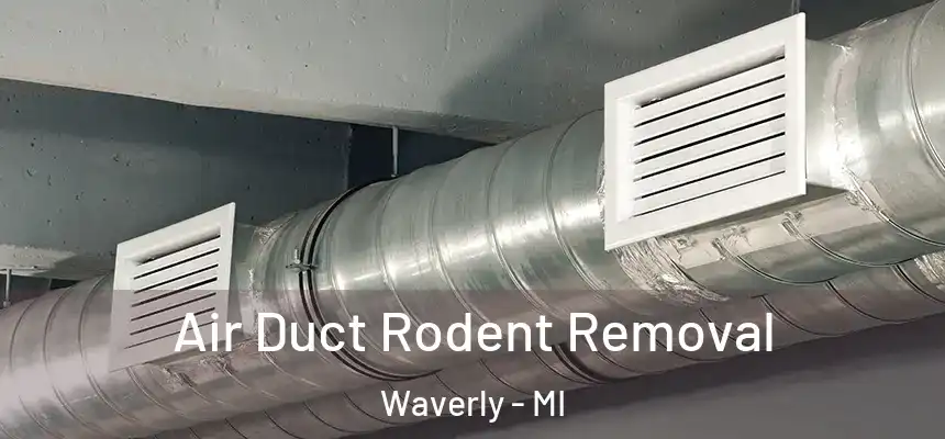 Air Duct Rodent Removal Waverly - MI