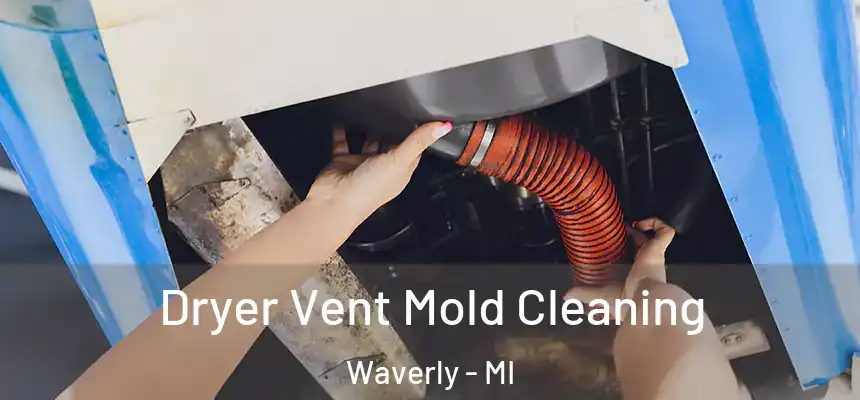  Dryer Vent Mold Cleaning Waverly - MI