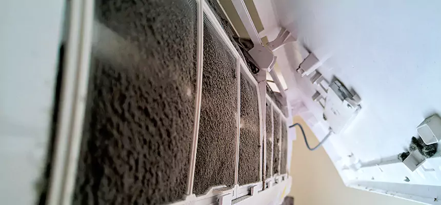 Preventive Air Duct Bacteria Removal in Waverly