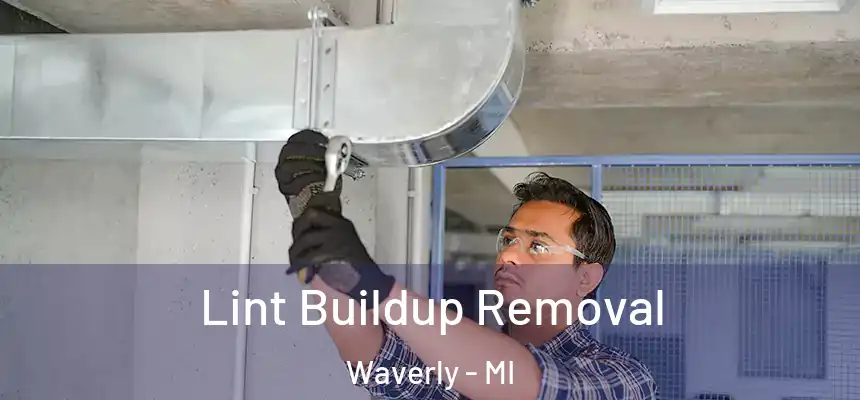  Lint Buildup Removal Waverly - MI