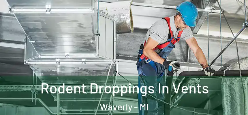  Rodent Droppings In Vents Waverly - MI