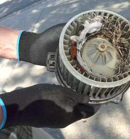 About Air Duct Rat Removal in Waverly, MI