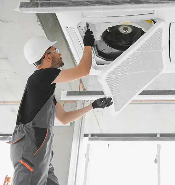 About Air Duct Rodent Removal in Waverly, MI