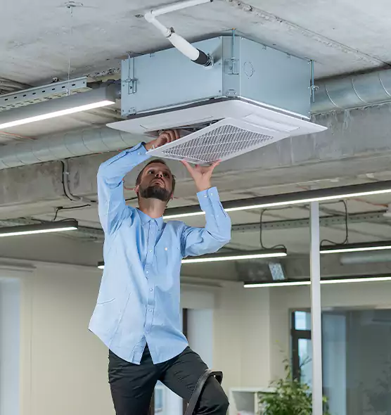Advanced Rodent Droppings In Vents in Waverly, MI