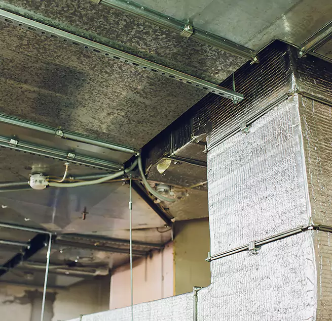 Why Homeowners & Businesses Trust Us in Waverly, MI?